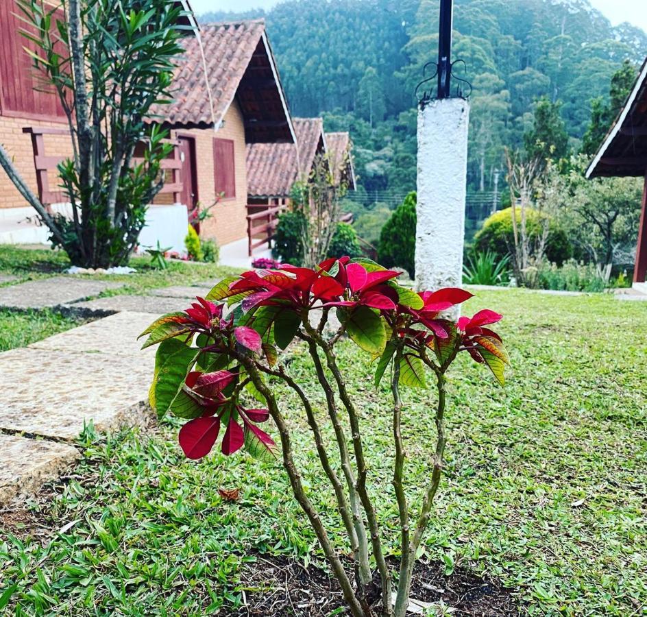 Vila Chales Encantus Monte Verde  Exteriér fotografie